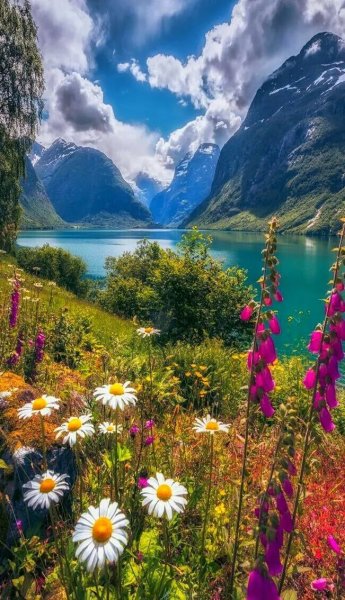 Картинки а4 для печати природа лето