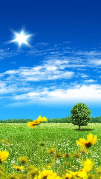 Летняя природа