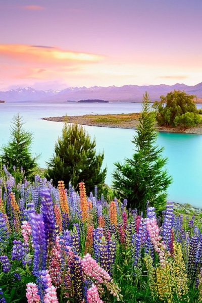 Весна природа