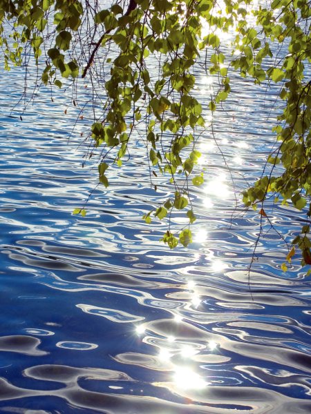 Летняя природа