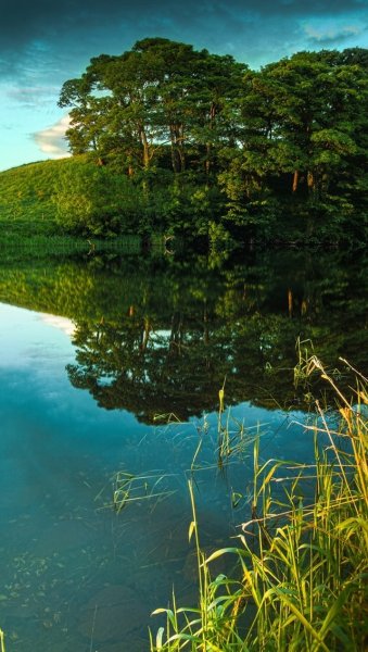 Красивый пейзаж