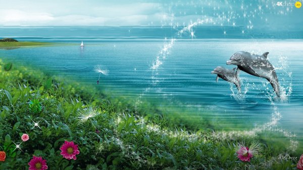 Лето вода солнце