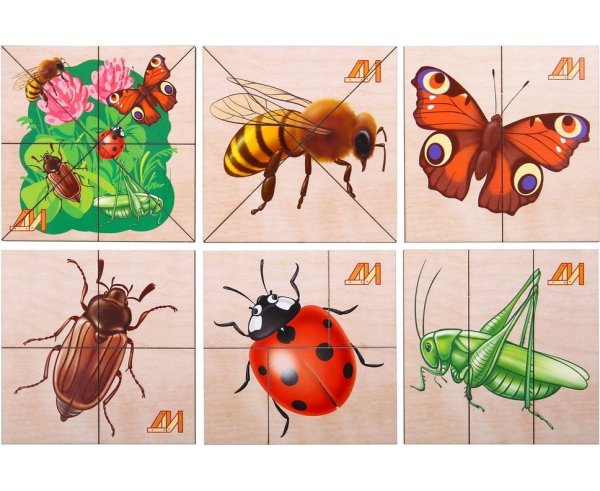 Игра сложи картинку насекомые