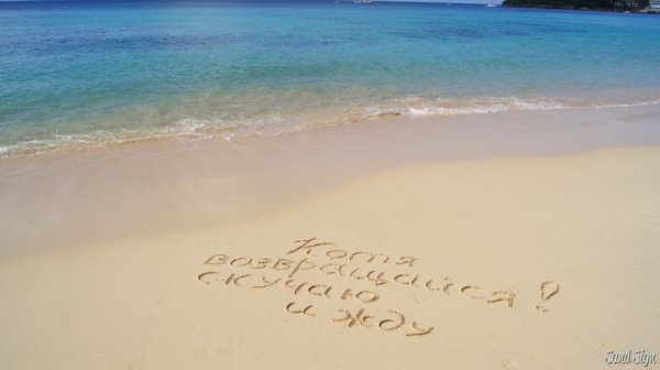 Лето Вернись