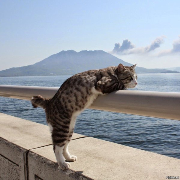 Цитаты про море