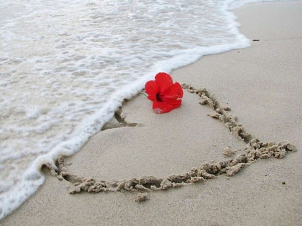 Ледницкая Валерия Константиновна