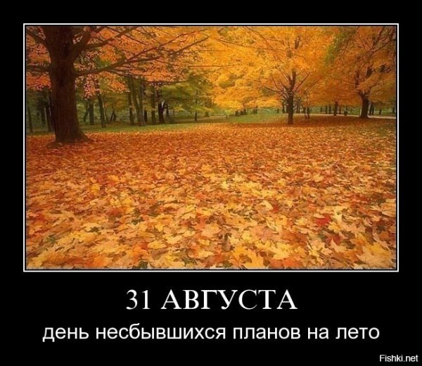 Человек и природа