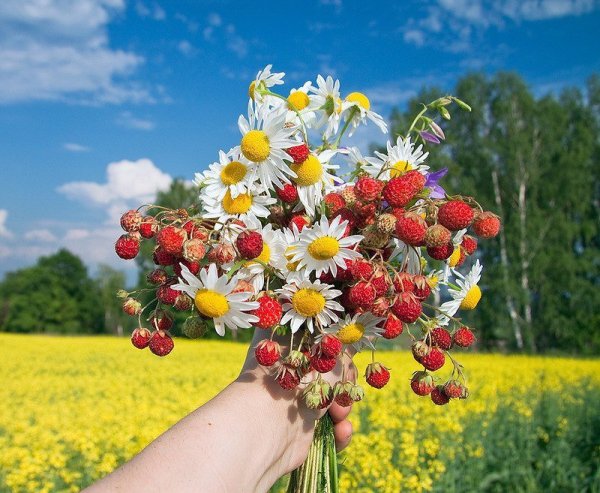 Лето продолжается