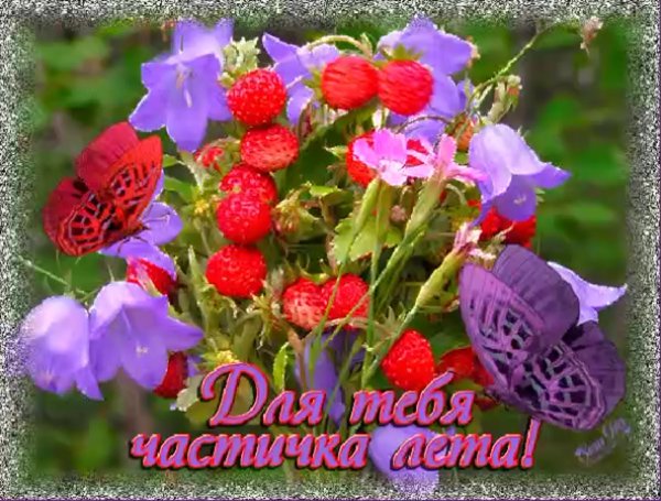 В день Солнечный июльский