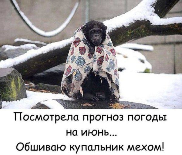 Мемы про погоду