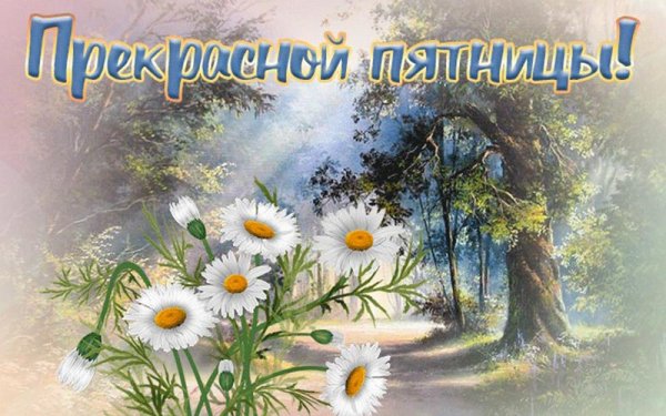 Доброе утро пятницы природа