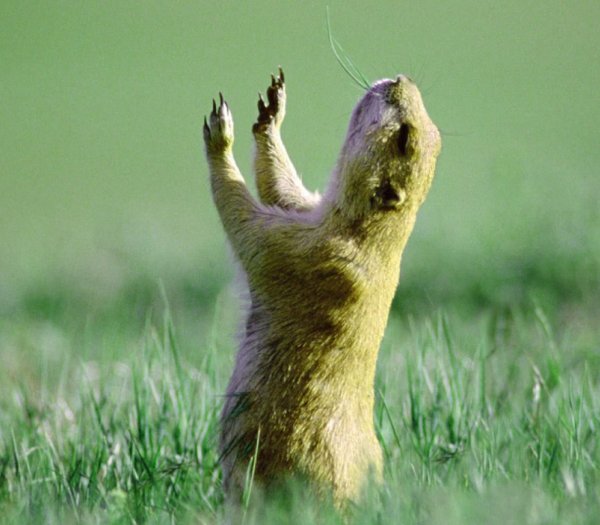 Доброе утро пятницы