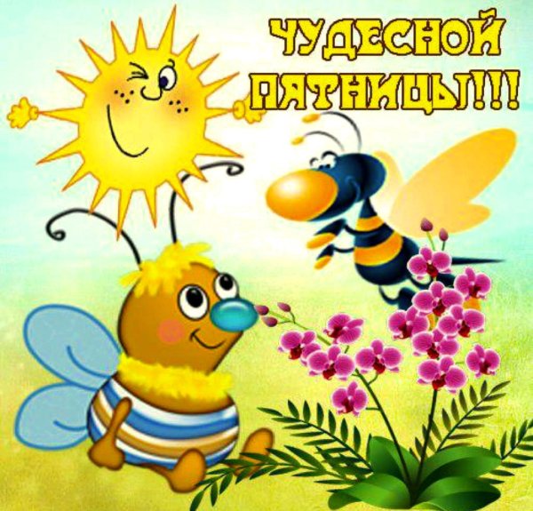 Открытки с добрым утром пятницы летние