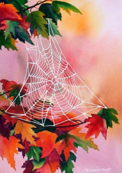 Осенняя паутинка