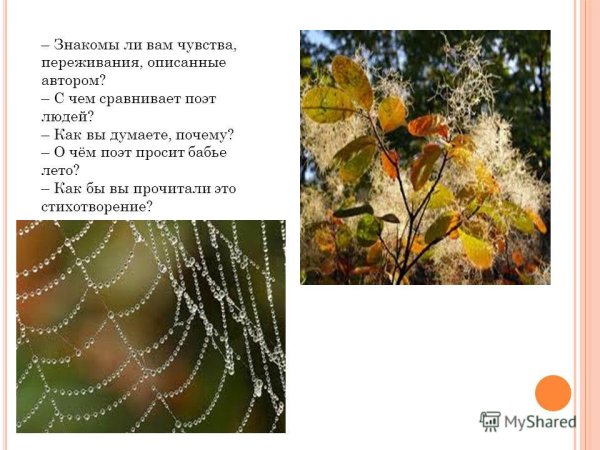 Дмитрий Кедрин бабье лето стихотворение