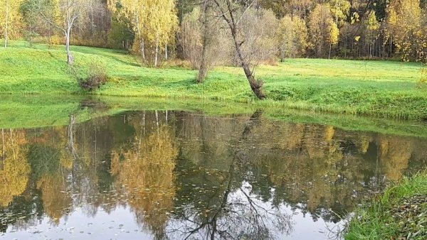 Бабье лето стих