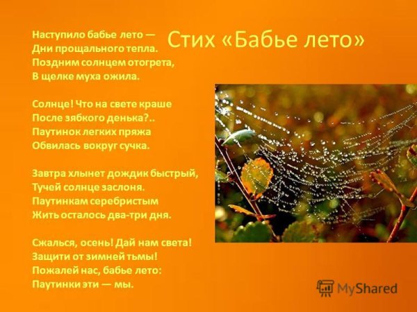 Кедрина бабье лето