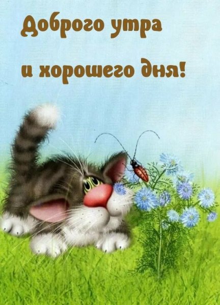 Доброго улыбчивого дня