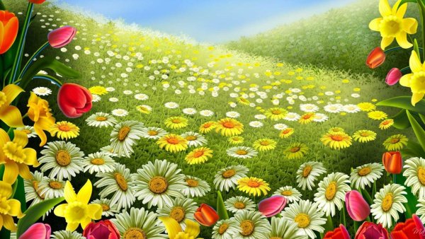 Поляна цветов для детей