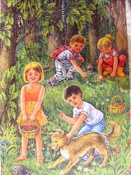 Сказочный лес