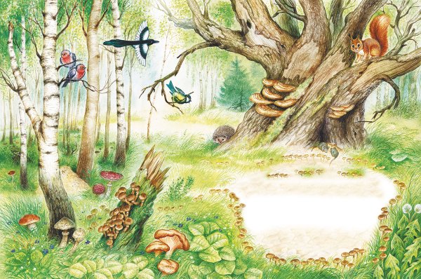 Девочка на природе