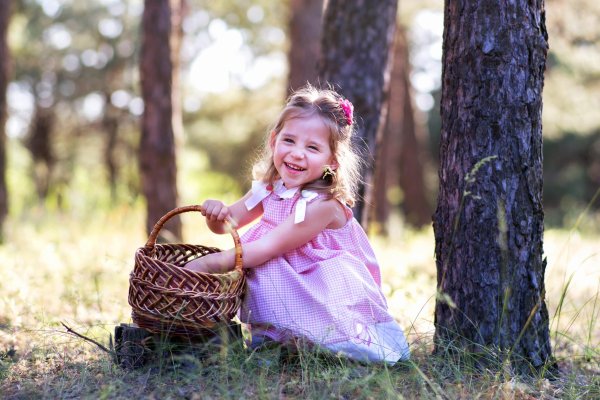 Природа летом для дошкольников