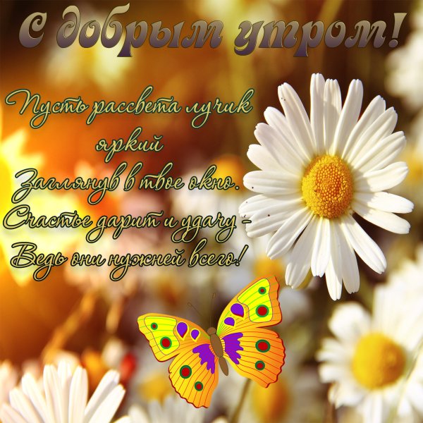 Открытки с добрым утром летние
