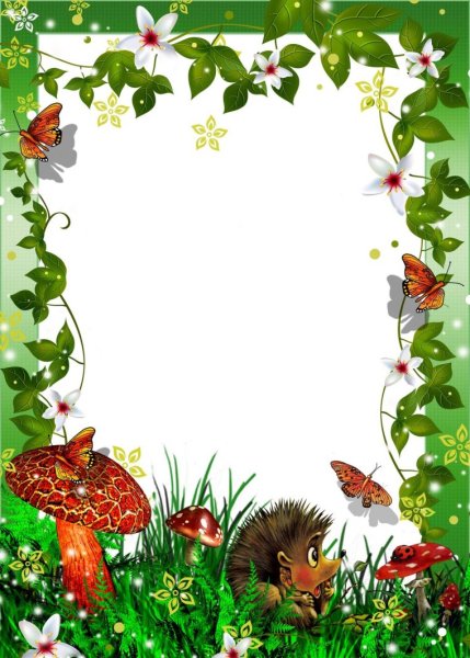 Летняя рамка