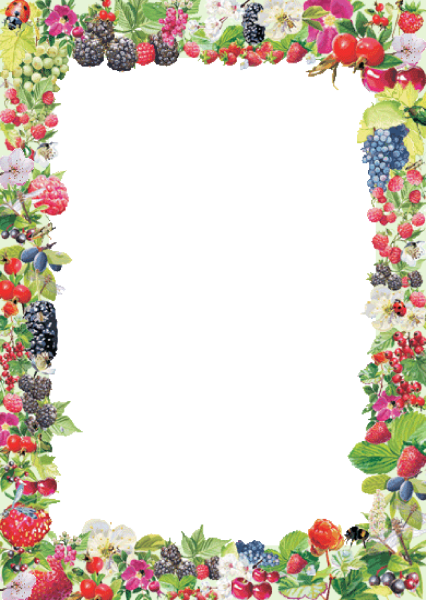 Летняя рамка для текста