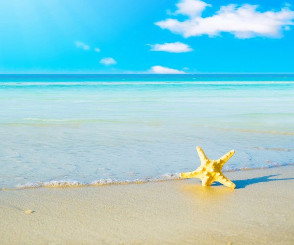 Летняя дорога