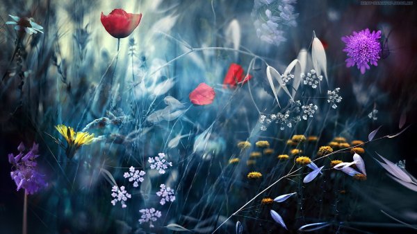 Прозрачное море