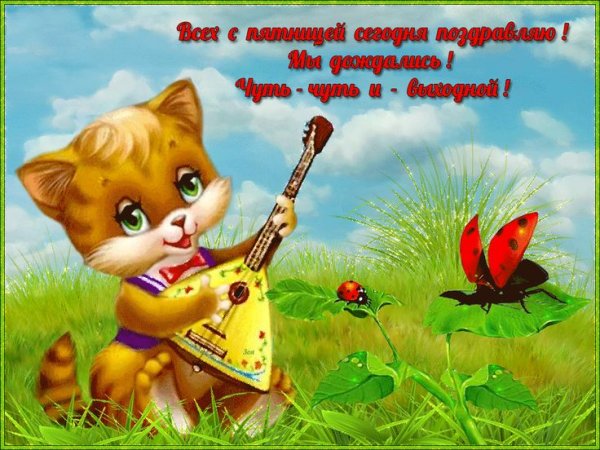 Вот и пятница пришла