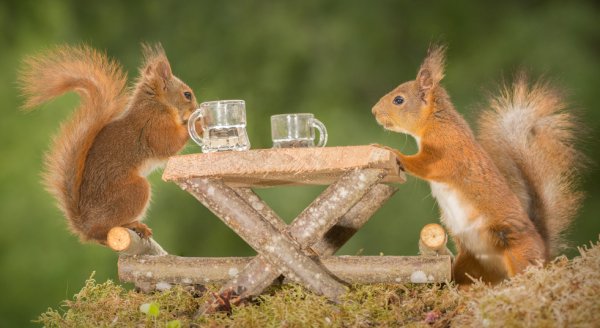 Доброе летнее утро пятницы