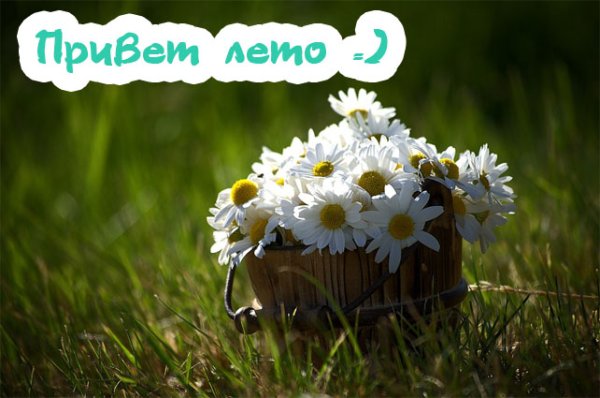 Поздравление с первым днем лета