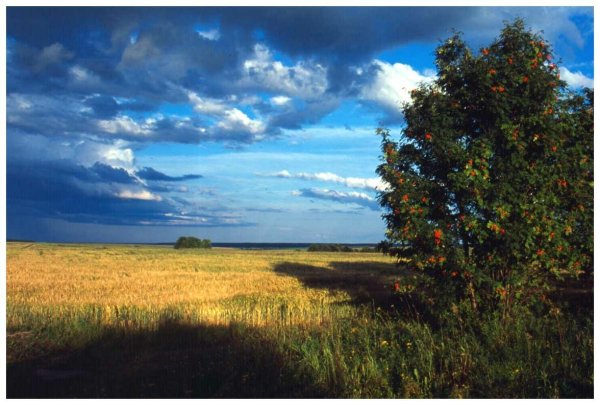 Конец августа природа