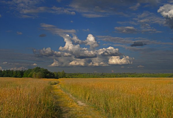 Августовское небо в полдень