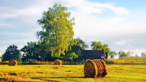 Августовский пейзаж