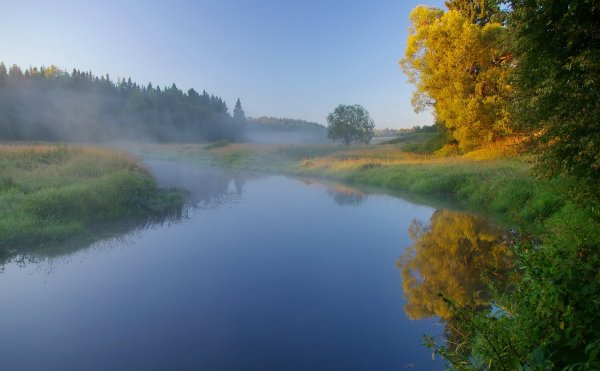 Август природа