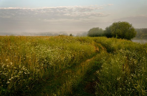 Пейзажи конец лета