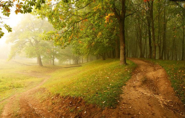 Конец августа природа