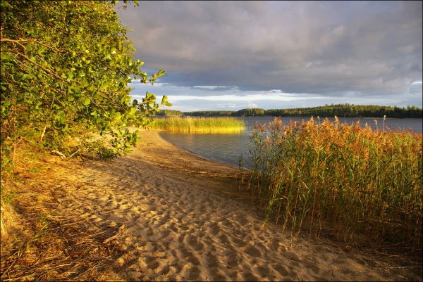 Песчаный берег озера