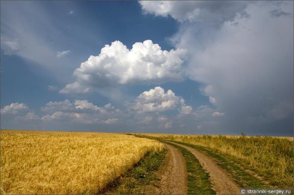 Золотое лето