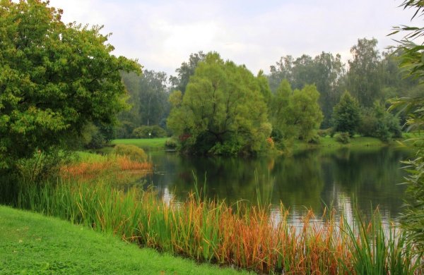 Конец августа природа