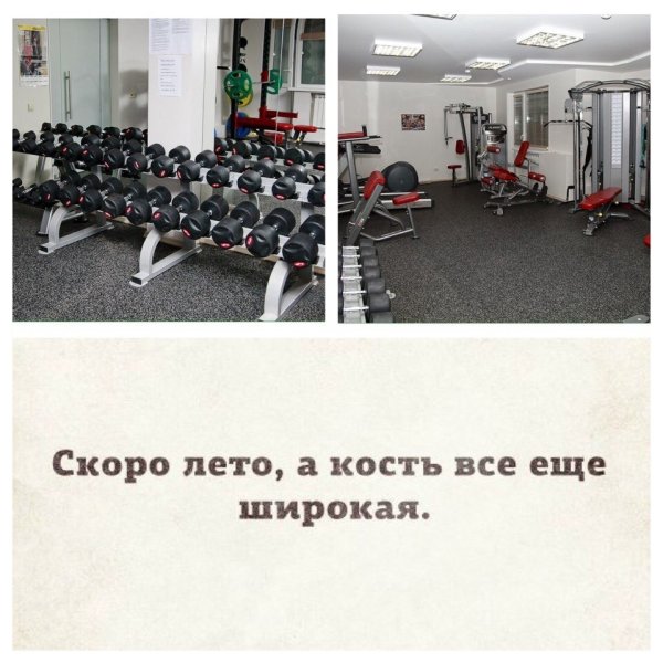 Толстые на пляже