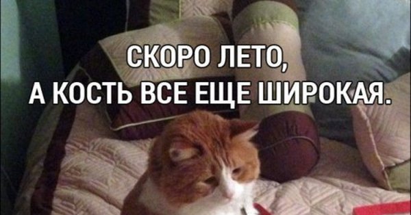 45 Баба Ягодка опять