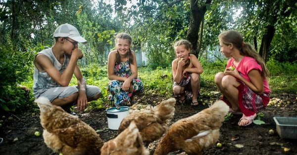 Путешествие летом в деревню