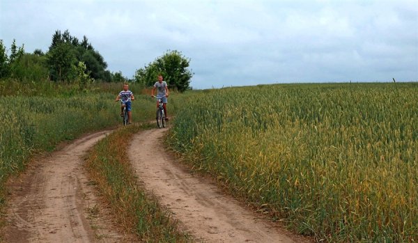 В деревне. Летние каникулы