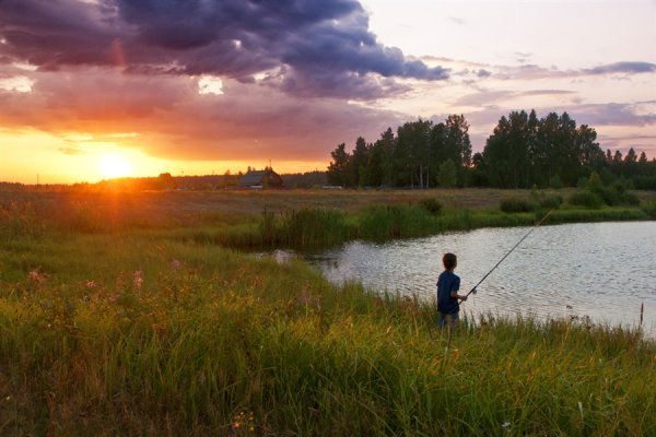Лето в деревне дети