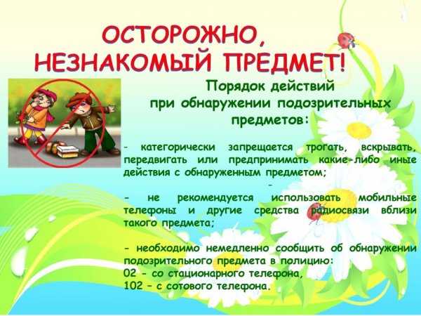 Проект лето красное лето безопасное