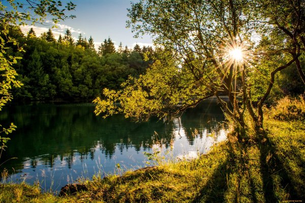 Природа Солнечная река